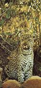 unknow artist Misstanksamt and furiost am guarding leoparden sits loot Germany oil painting artist